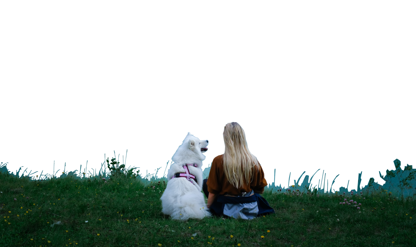 landingpage image part2